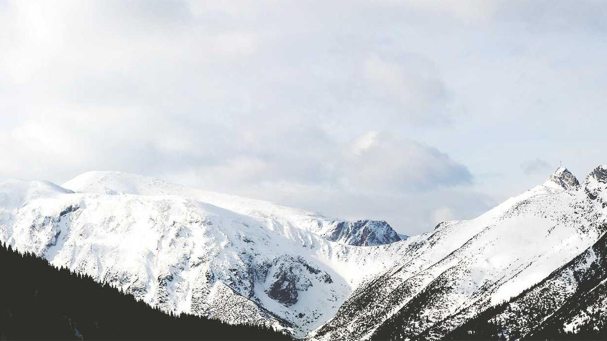 Detailansicht: Alzheimer Studie