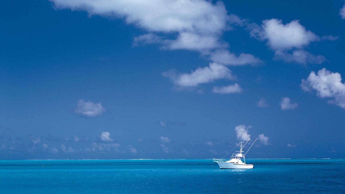 Symbolbild zum Thema Analysieren Song