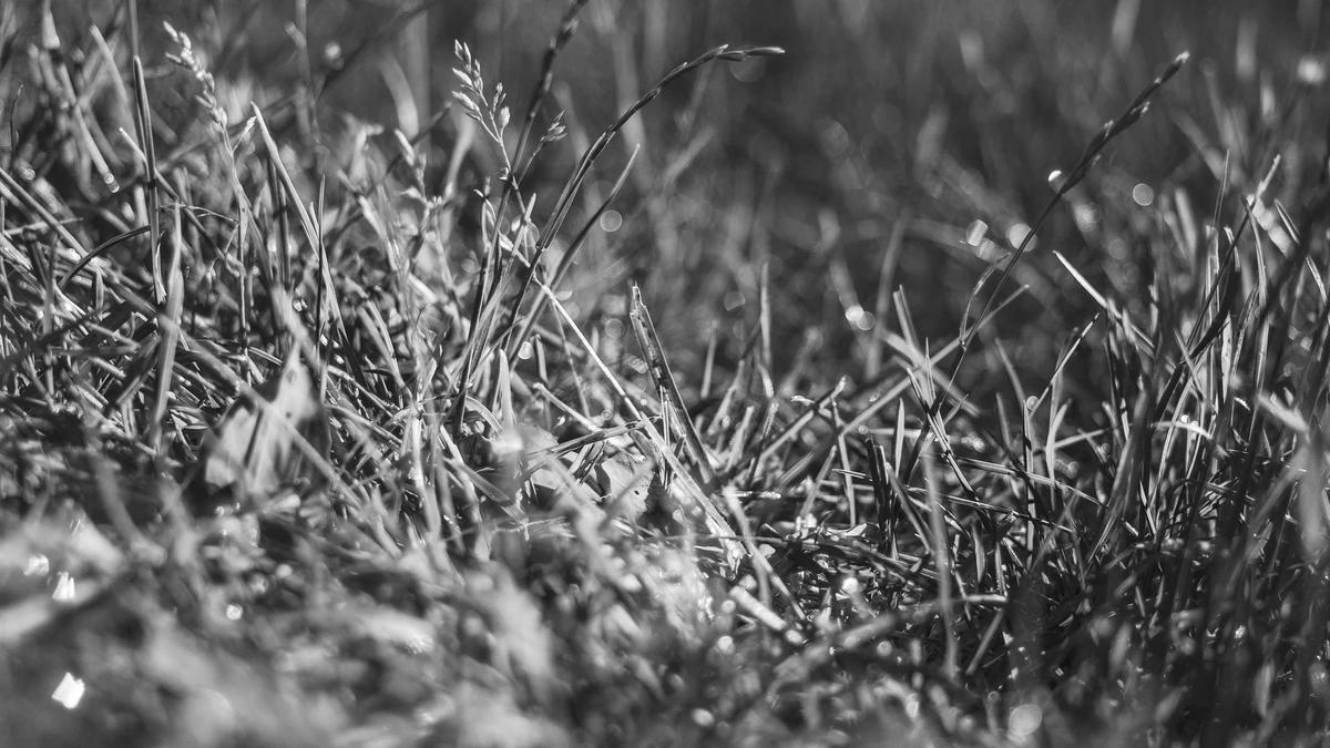 Symbolbild zum Thema Beef Staffel 2