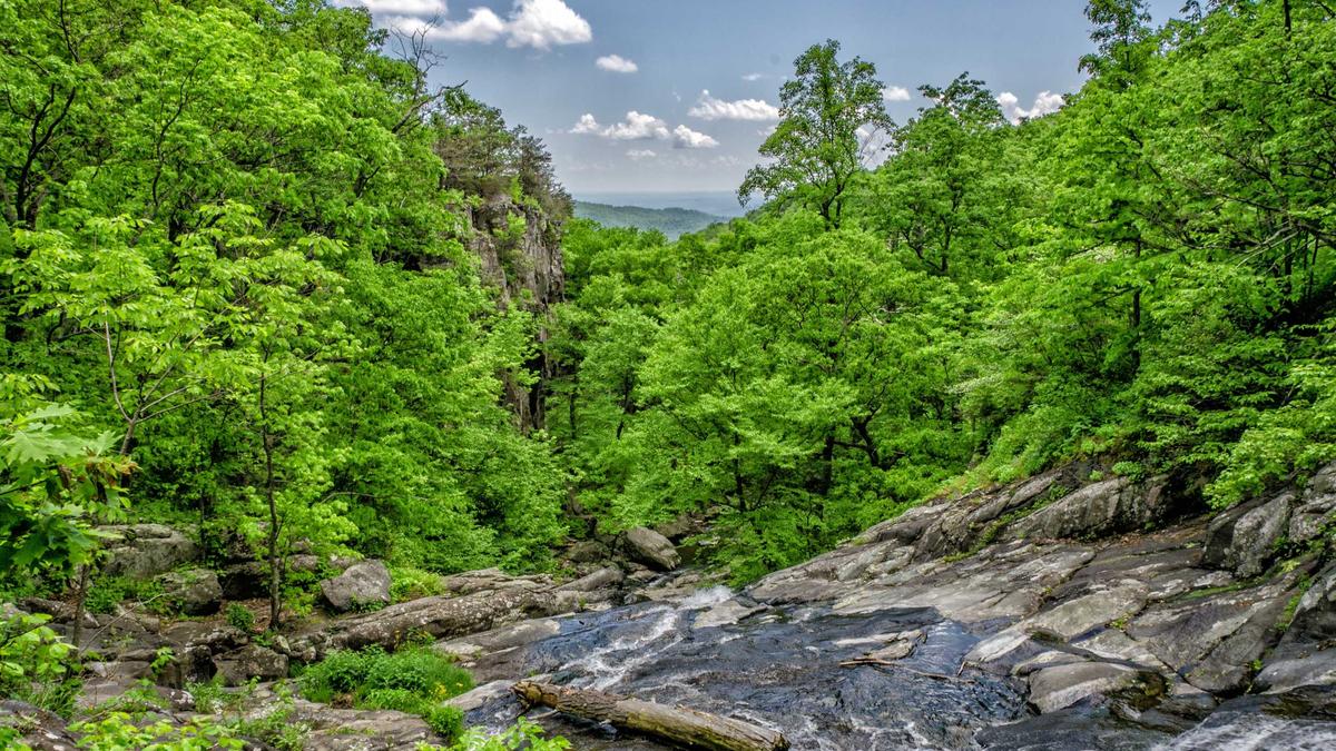 Illustration zu Besser Sylvester