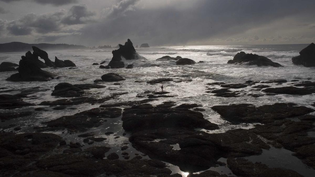 Detailansicht: Bibi Heinicke