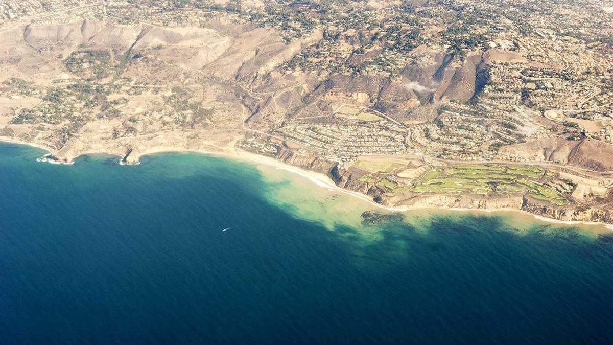 Detailansicht: Bondi Beach Anschlag