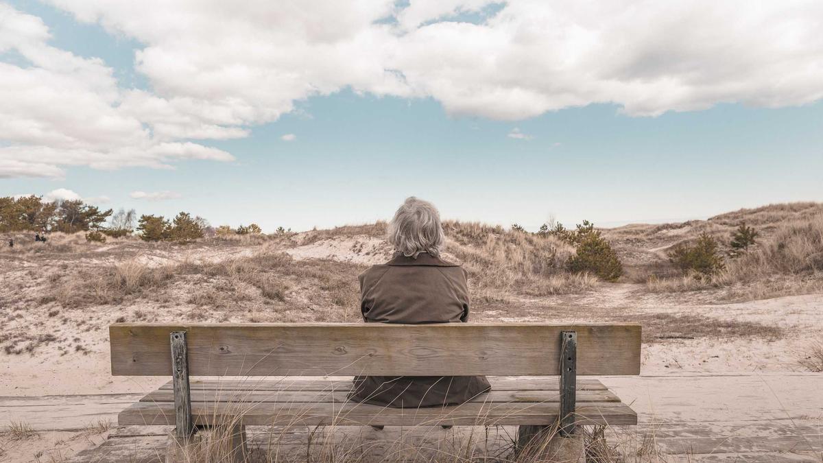 Illustration zu Buckelwal Ostsee