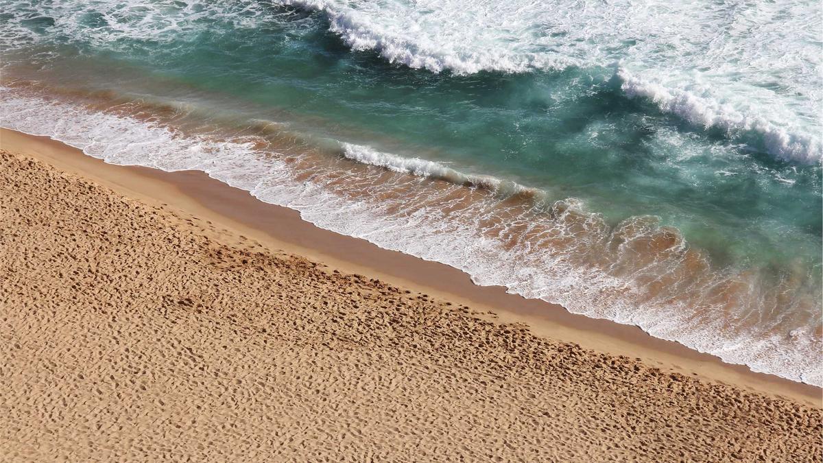 Buckelwal Ostsee Symbolbild zum Thema Buckelwal Ostsee