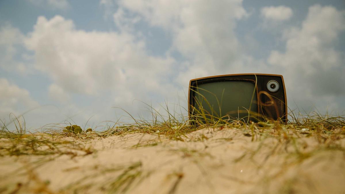 Symbolbild zum Thema Buckelwal Ostsee