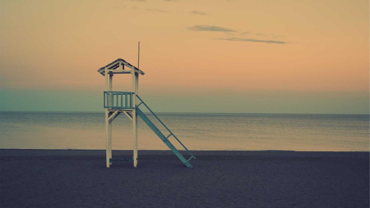 Detailansicht: Buckelwal Ostsee