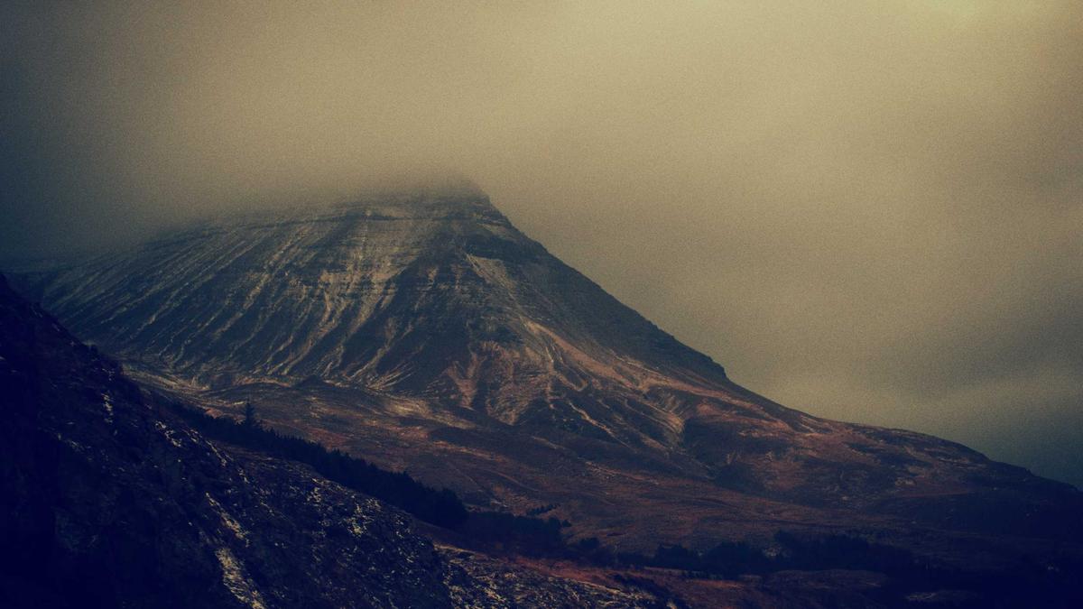 Detailansicht: Buckelwal Timmy Ostsee Liveticker