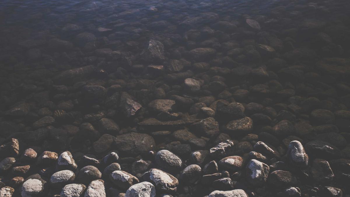 Illustration zu Christian Lindner