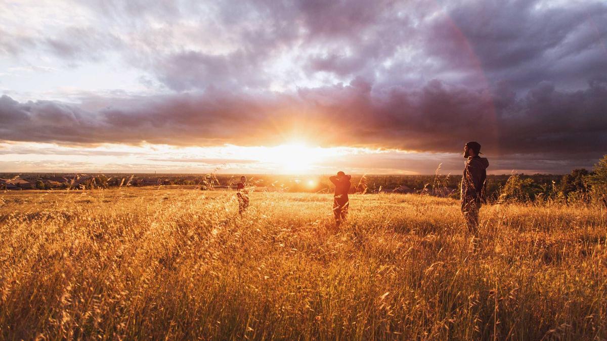 Symbolbild zum Thema Dieter Bohlen Gesicht
