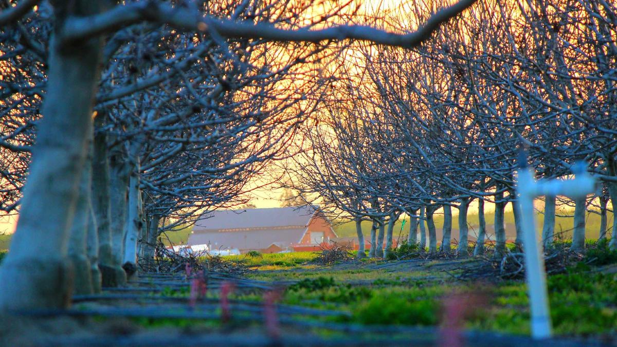 Detailansicht: Erdgas