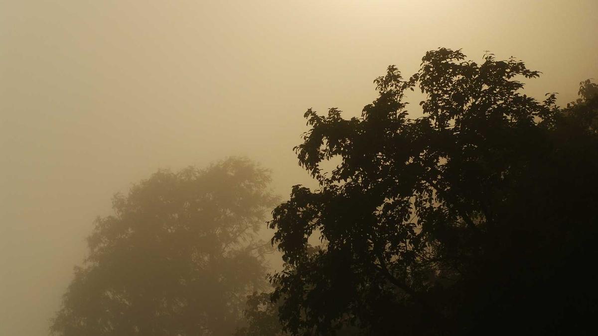 Detailansicht: Große Promibacken Finale