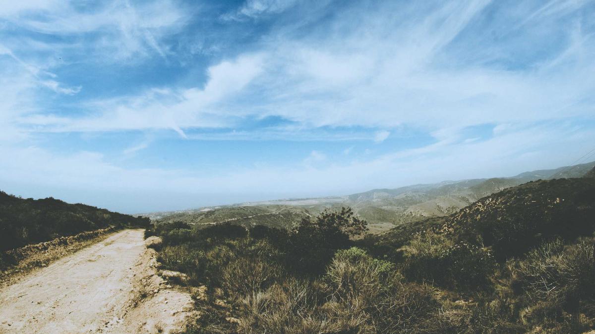 Harry Kane Detailansicht: Harry Kane