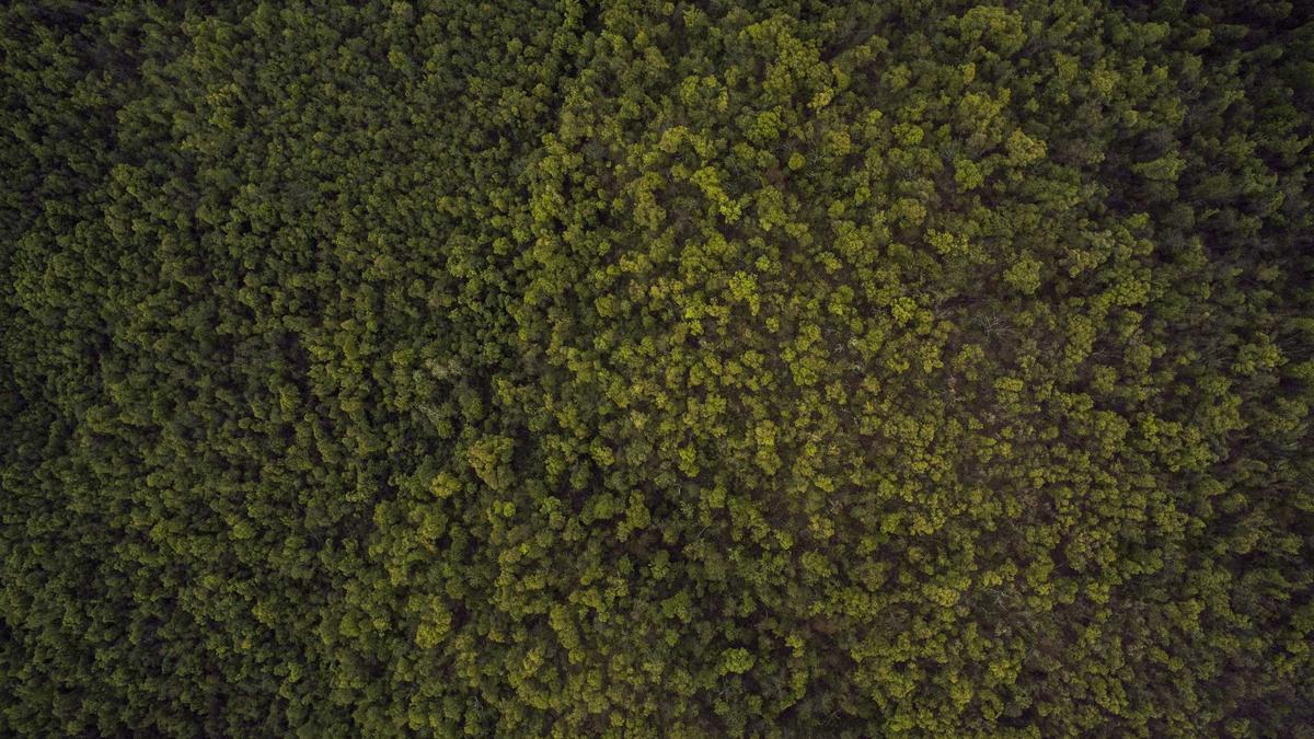 Detailansicht: Horoskop Heute