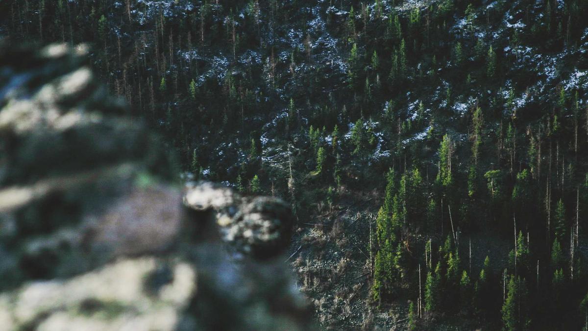 Detailansicht: Id Austria