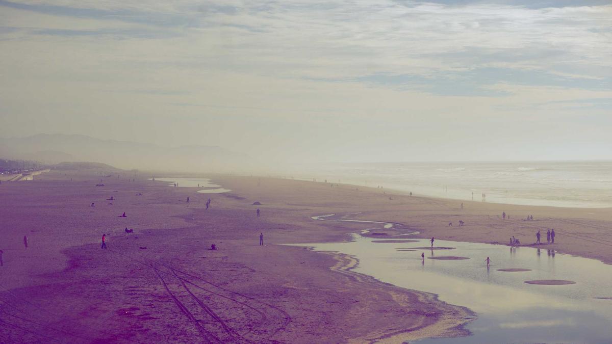 Illustration zu Insel Poel Wal