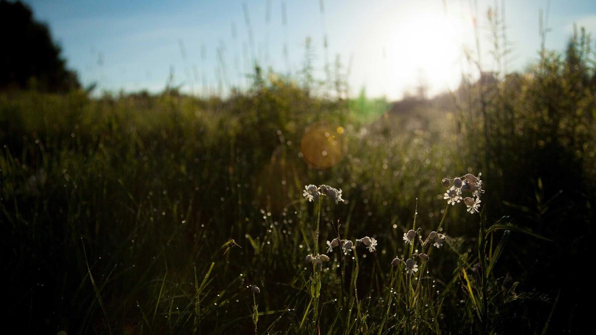 Illustration zu Jürgen Milski Trauert