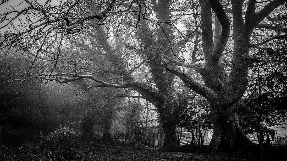 Illustration zu Jugendamt