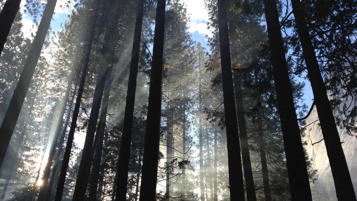 Symbolbild zum Thema Kanye West Abgesagte Konzerte