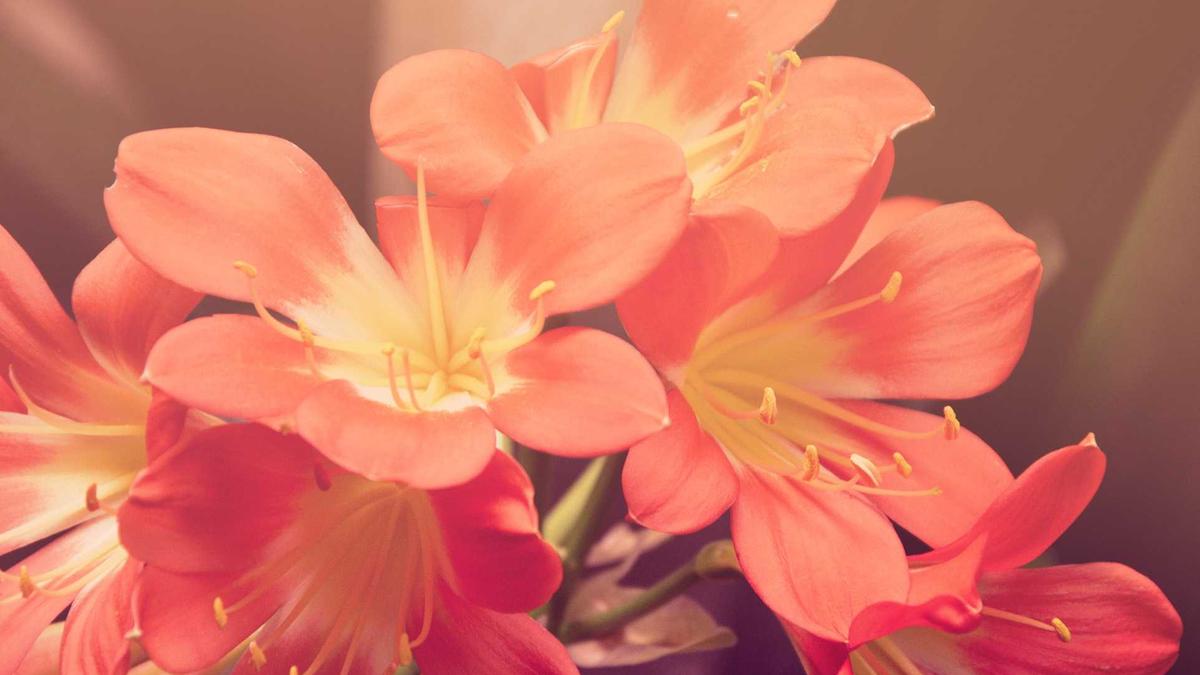 Symbolbild zum Thema Lego Porsche Transformer