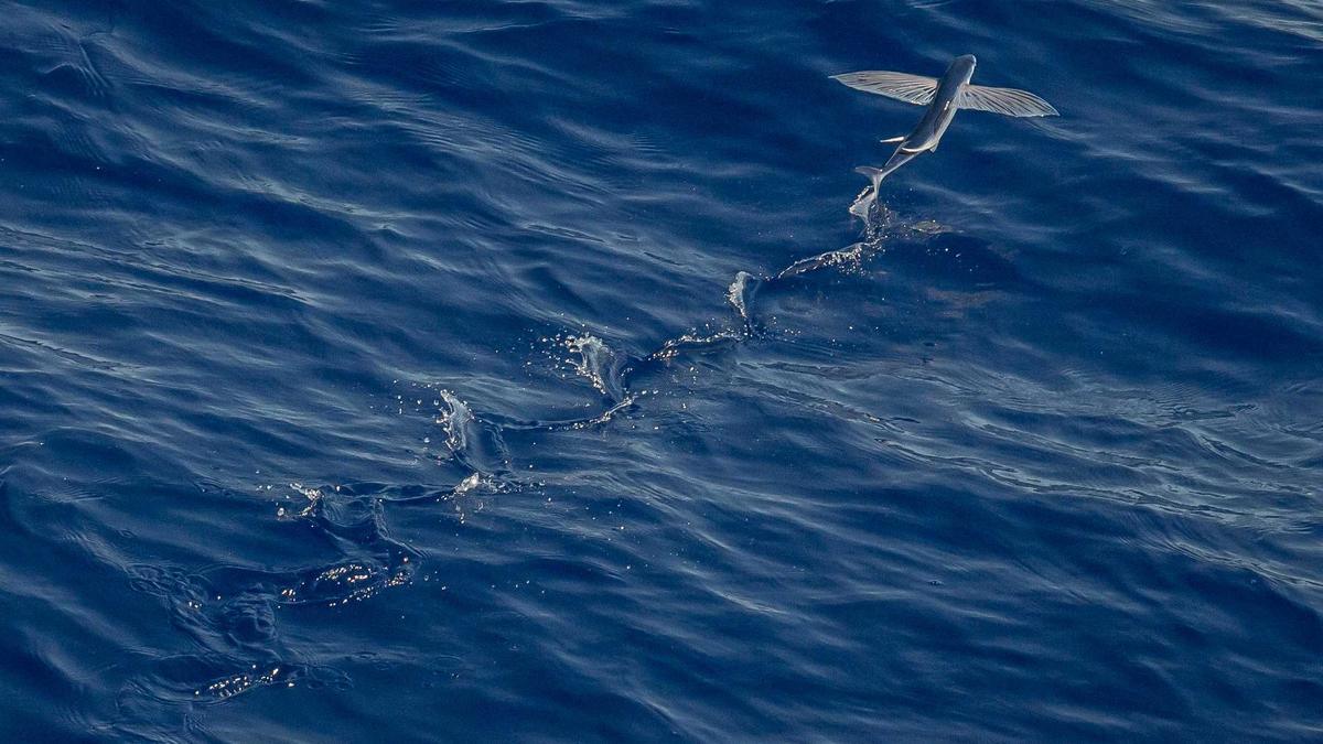 Symbolbild zum Thema Live TV