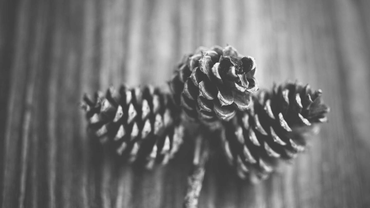 Detailansicht: Lola Weippert Trennung