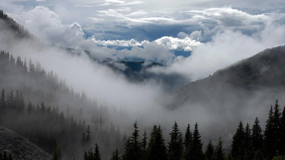 Lufthansa Streikt Detailansicht: Lufthansa Streikt