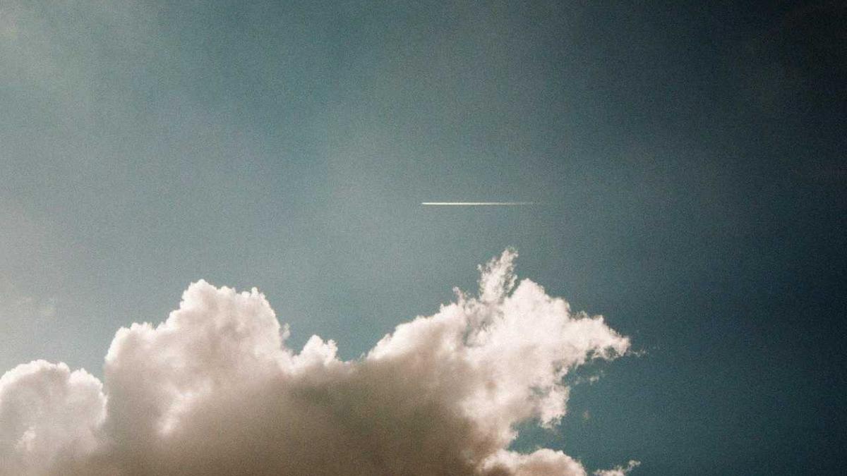 Maikäfer Massenflug Symbolbild zum Thema Maikäfer Massenflug