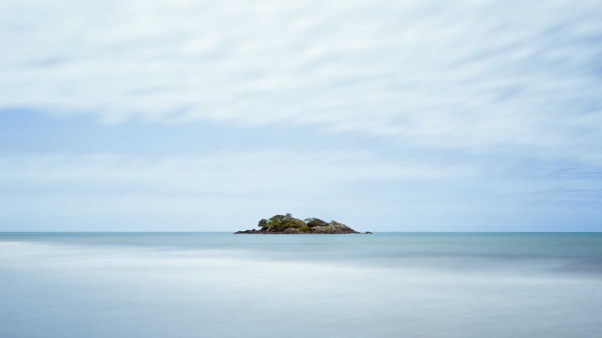 Maikäfer Massenflug Detailansicht: Maikäfer Massenflug