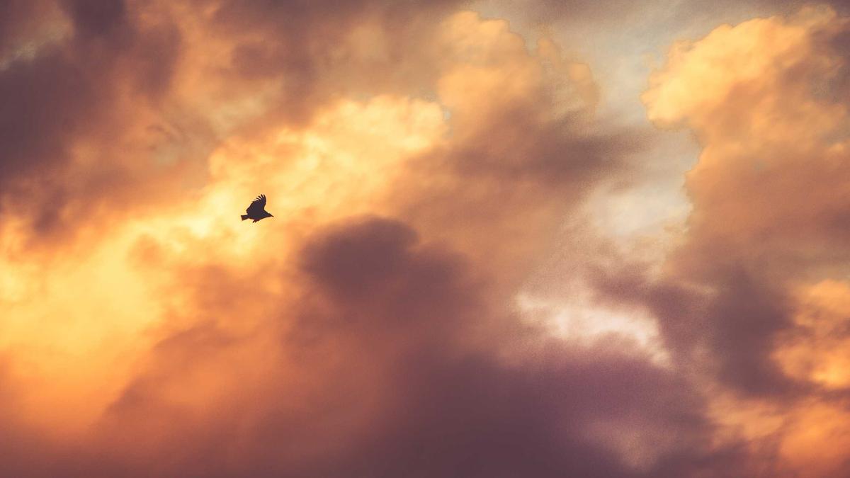 Detailansicht: Manchester City – Arsenal