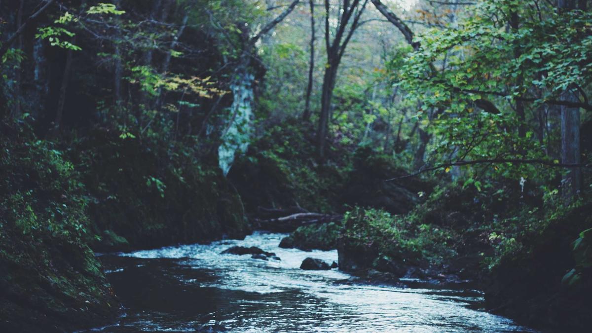 Marcus Wadsak Illustration zu Marcus Wadsak