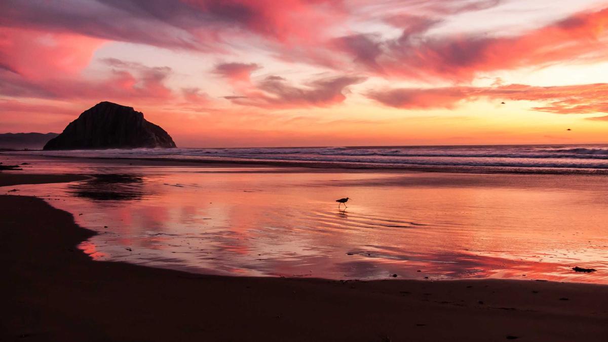 Detailansicht: Massenpanik Haiti