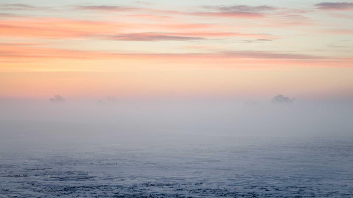 Detailansicht: Mein Schiff 5