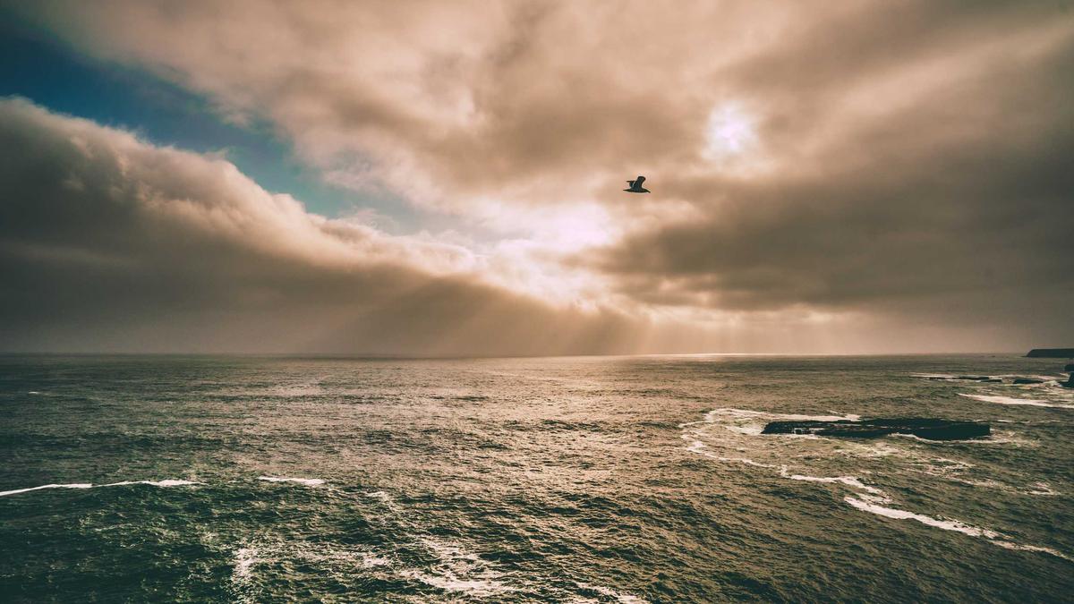 Menschlicher Kopf Gefunden Illustration zu Menschlicher Kopf Gefunden