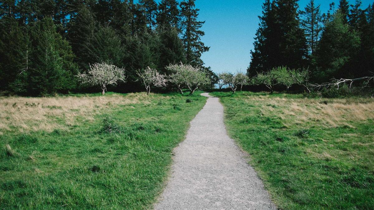 Symbolbild zum Thema Messenger WhatsApp