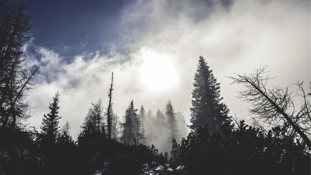 Illustration zu Ministerpräsident Hendrik