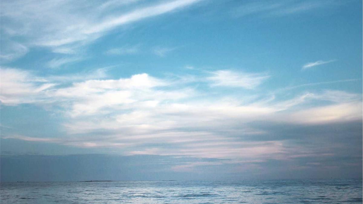 Detailansicht: Nathalie Baye