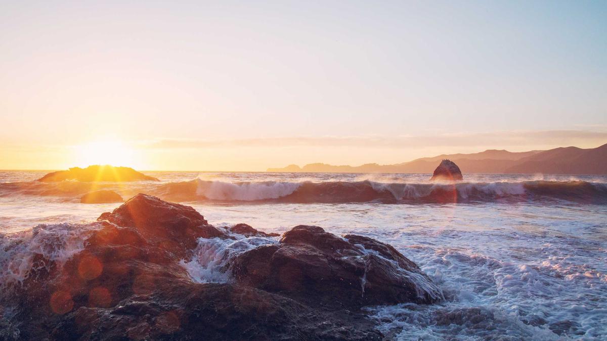 Illustration zu Nosferatu Spinne