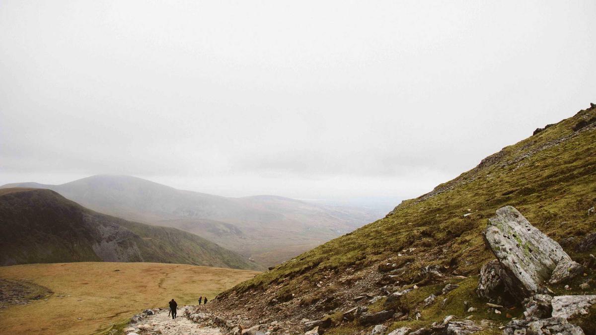 Symbolbild zum Thema Patrick Schwarzenegger Beach Read