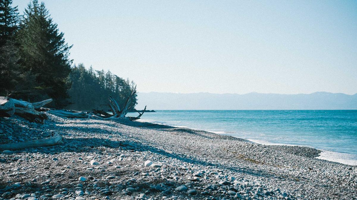 Detailansicht: Quot Jurassic