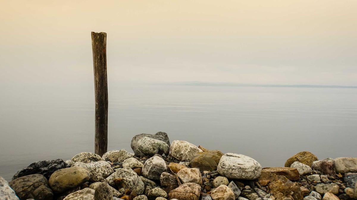 Illustration zu Renata Lusin