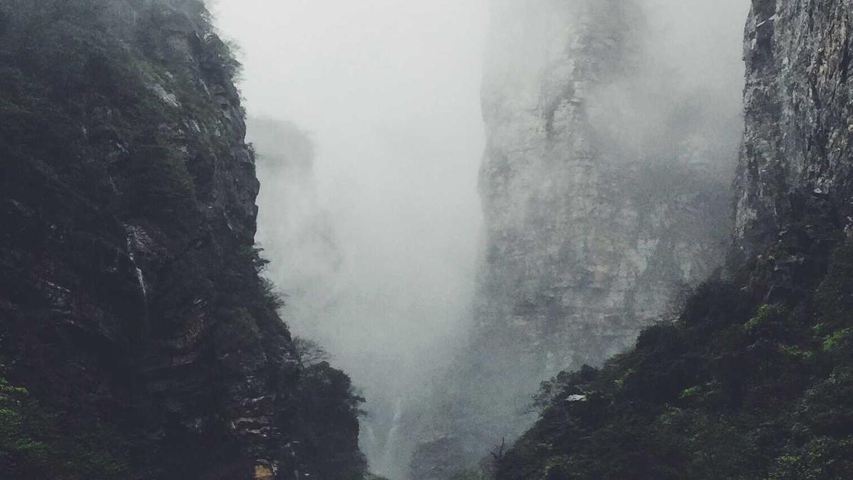 Ruby Rose Detailansicht: Ruby Rose