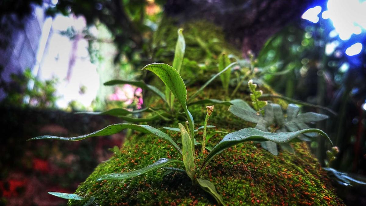 Detailansicht: Sarah Engels Esc