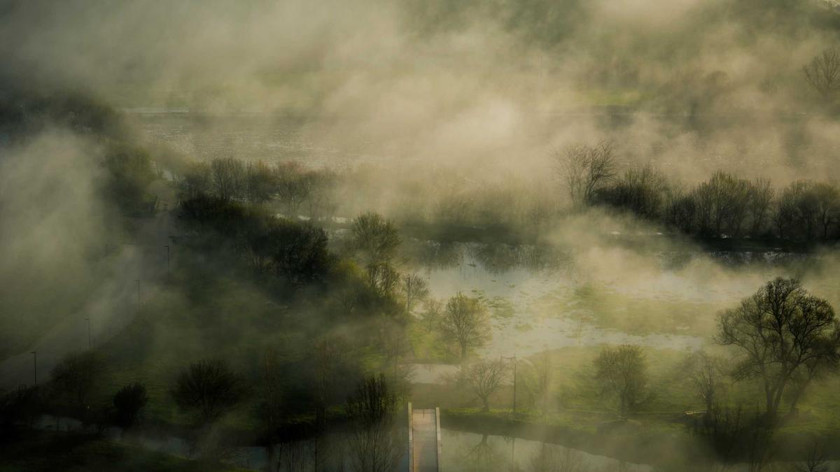 Illustration zu Scream 7