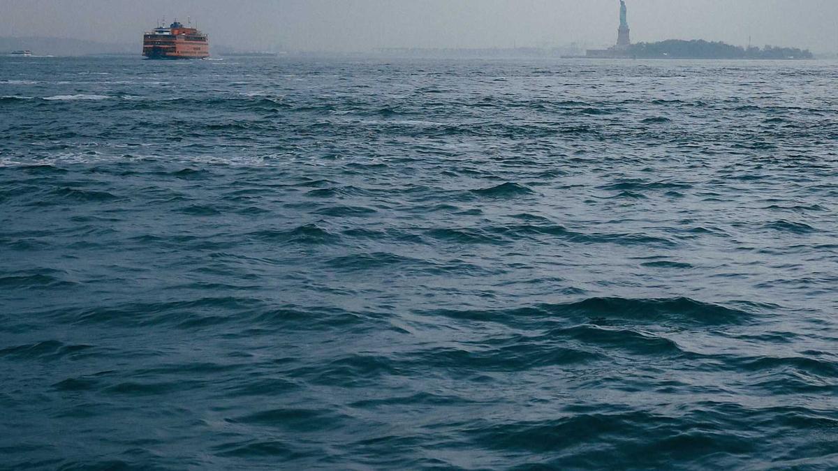 Symbolbild zum Thema Show 1 Willi Banner