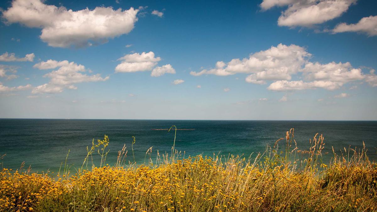 Detailansicht: Silo Erster