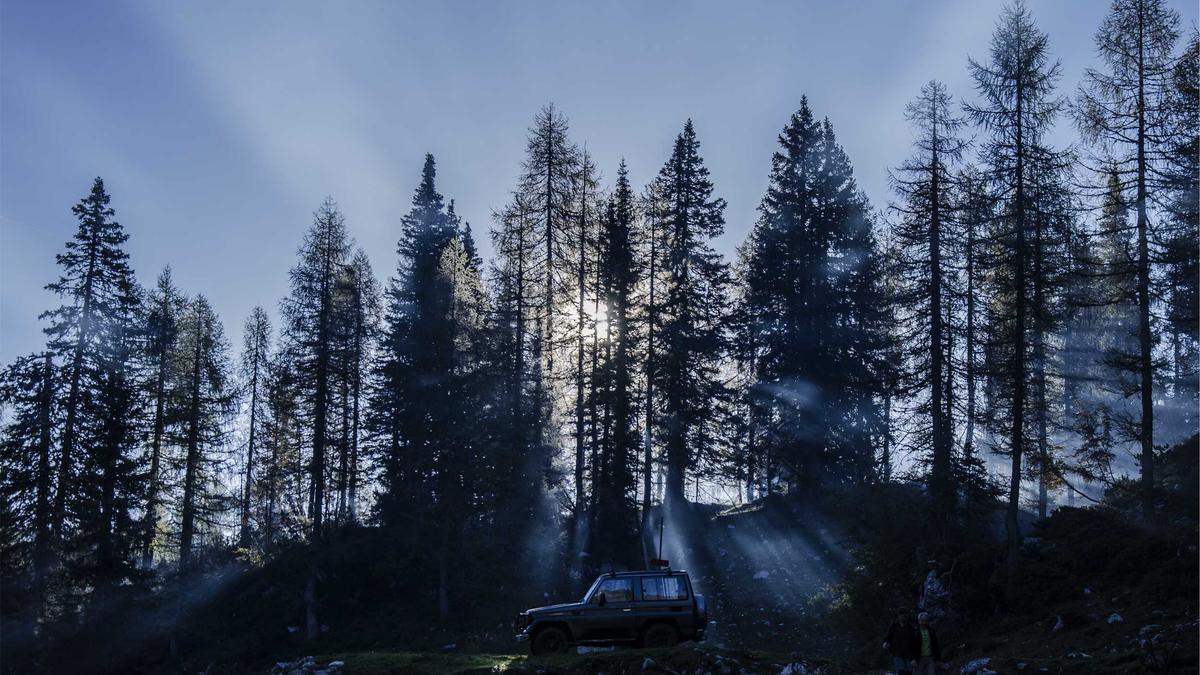 Symbolbild zum Thema Sylvie Meis Dating