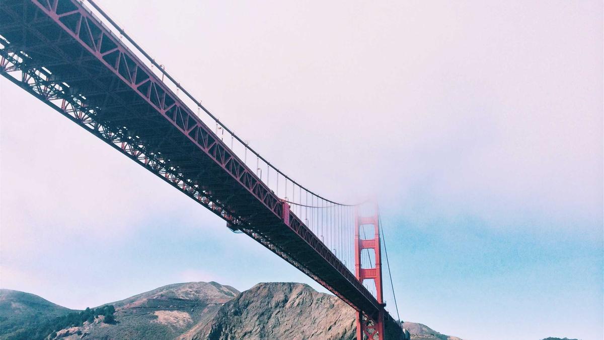 Detailansicht: Tatort Schwarzwald