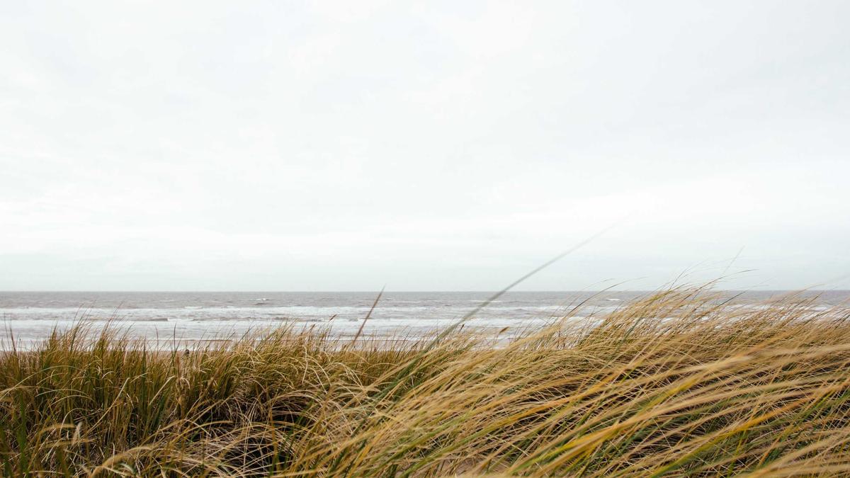 Detailansicht: Taylor Swift Songs