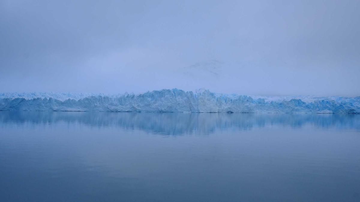 Detailansicht: Timmy Wal