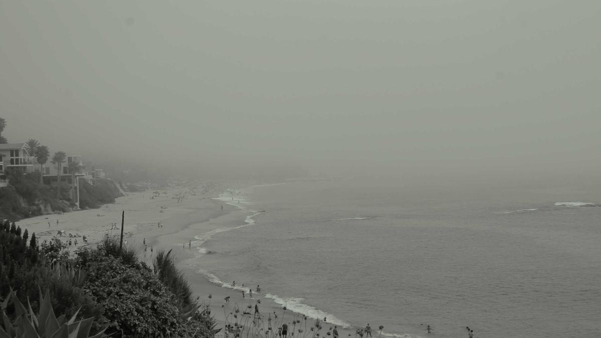 Detailansicht: Trump NATO Austritt